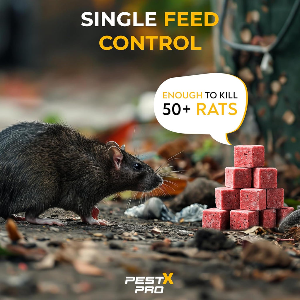 Venom Pre-Baited Rat Bait Station (2 Pack)