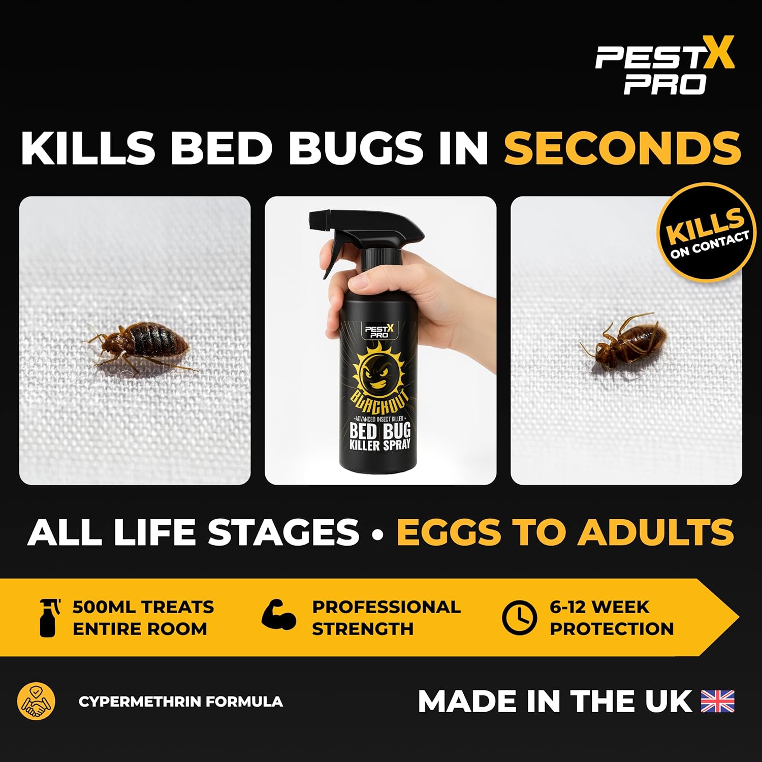 Blackout Bed Bug Killer Spray 500ml