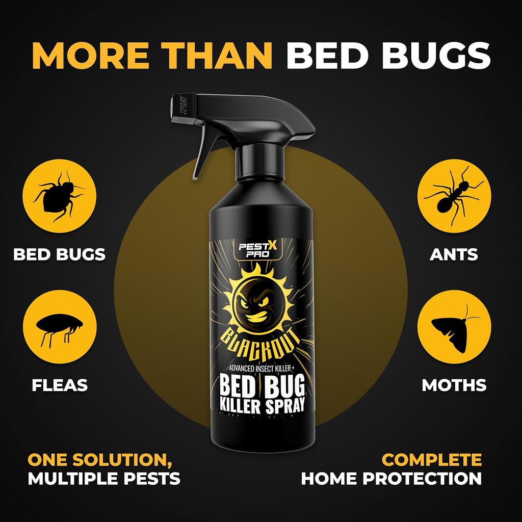 Blackout Bed Bug Killer Spray 500ml
