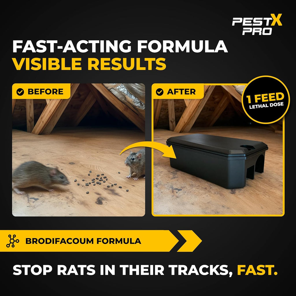 Rat Bait Station with Grain Bait Poison