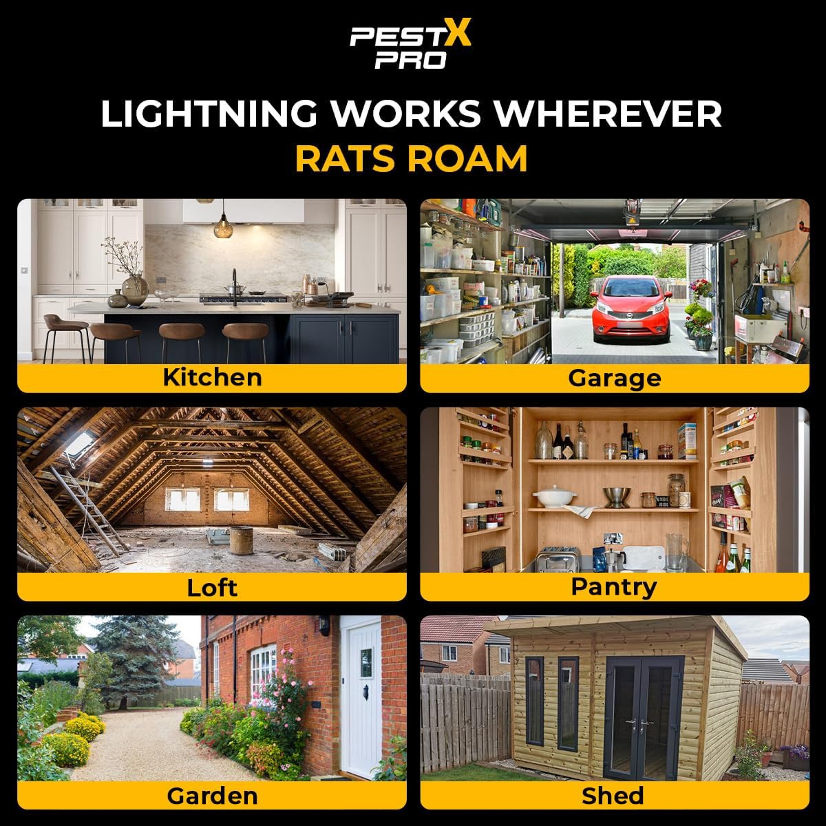 Lightning Professional Rat Traps (4 Pack)