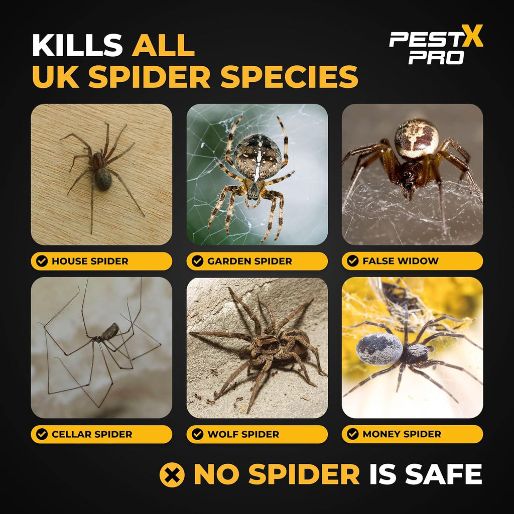 Strike Spider Killer Spray 500ml