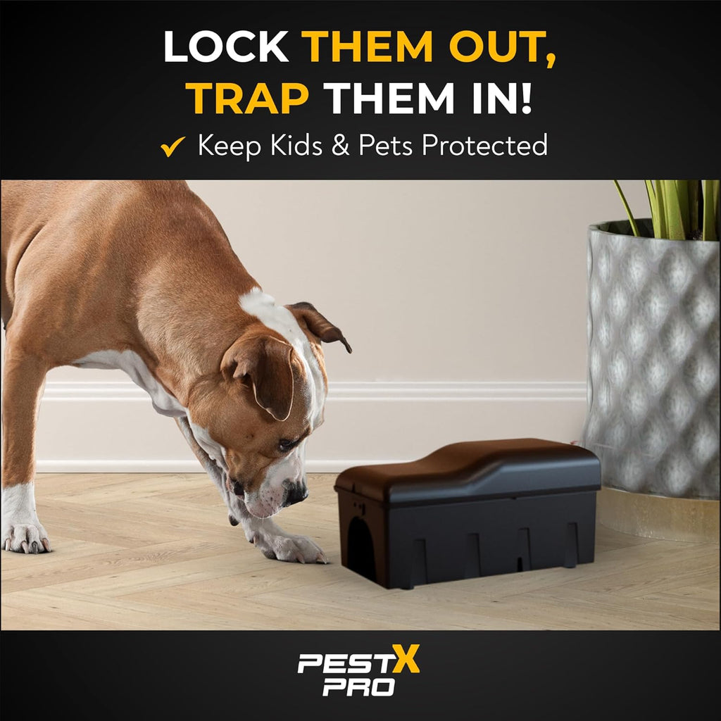 Shadow Professional Rat Trap Box (2 Pack)